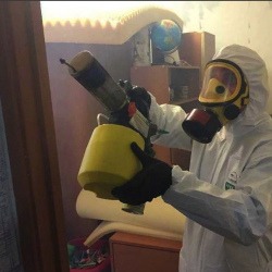 Уничтожение клопов в квартире. Здвинск